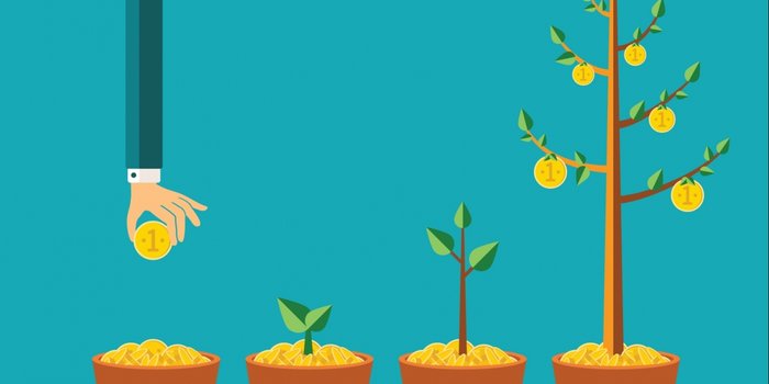 Online Business Growth